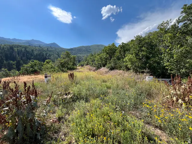 Lot 88, #88, Springville, UT 84663 - #2