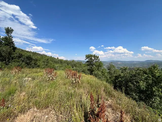 Lot 88, #88, Springville, UT 84663 - #3