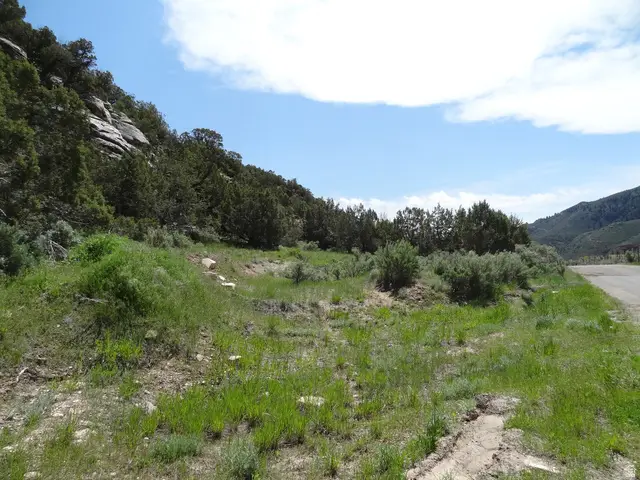 8578 W Red Clouud Loop Rd, Vernal, UT 84078 - #3