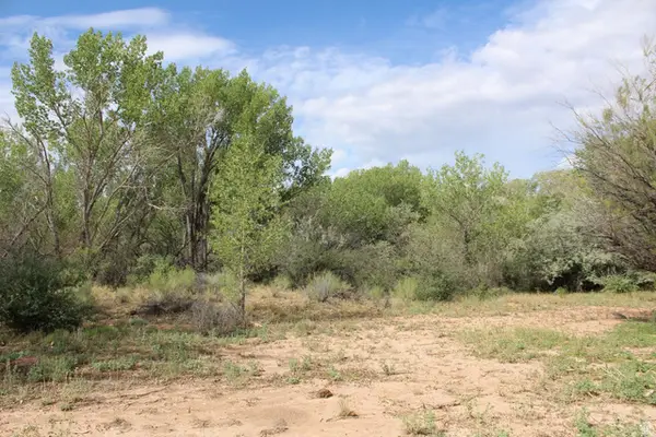 4500 S Notom Rd, Torrey, UT 84775