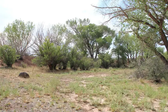4500 S Notom Rd, Torrey, UT 84775 - #3