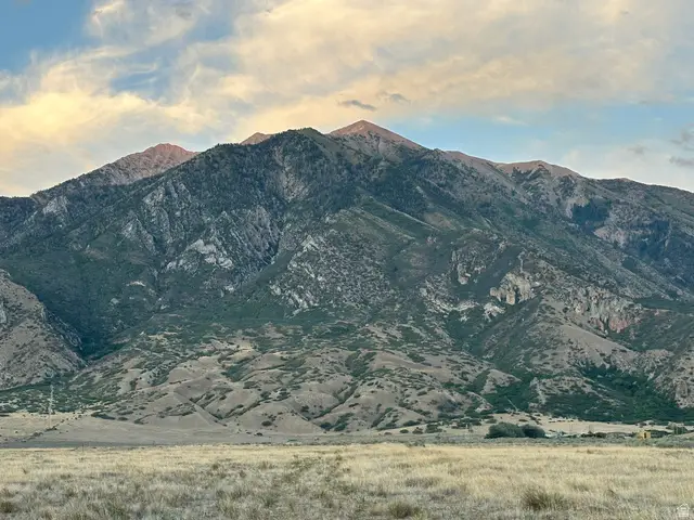 463 S 300 E, Mona, UT 84645 - #1
