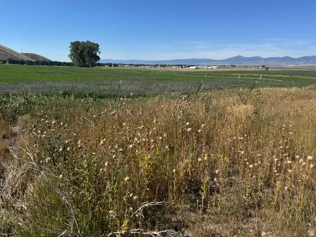 1205 Moose Loop #10, Montpelier, ID 83254 - #3