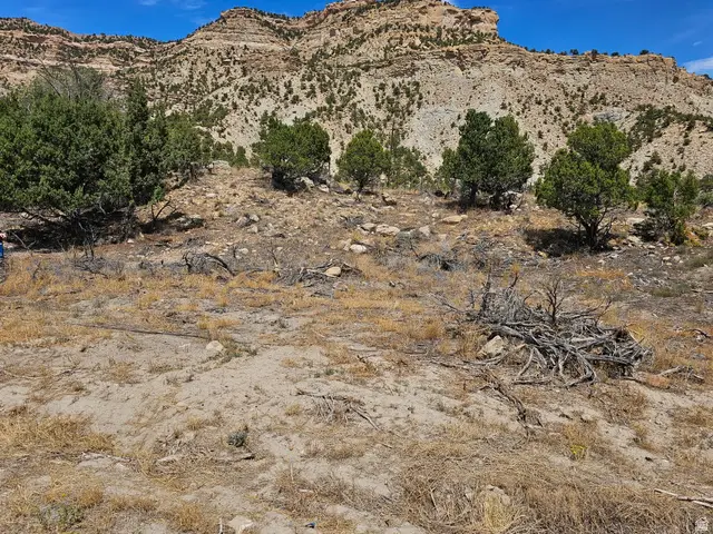 3610 Spring Canyon Rd #1, Helper, UT 84526 - #3
