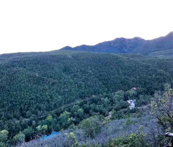 #6, Springville, UT 84663