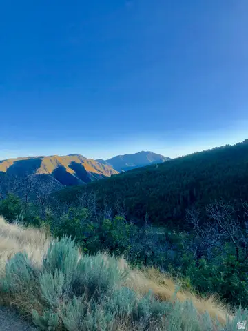 #6, Springville, UT 84663 - #2