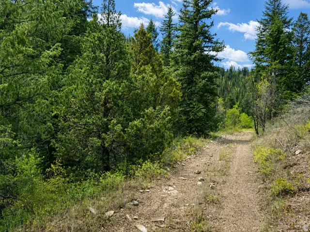 Address Withheld By Seller, Daniel, UT 84032 - #1