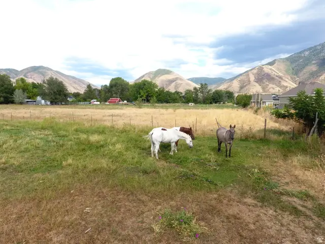 333 W Maple St, Mapleton, UT 84664 - #2