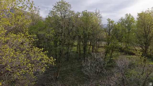 930 S Maple Ravine Cir, Woodland Hills, UT 84653 - #3
