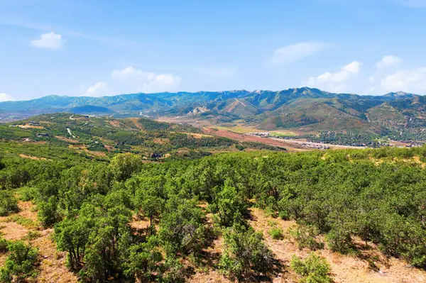 2063 Blue Grouse Ln #63, Park City, UT 84098