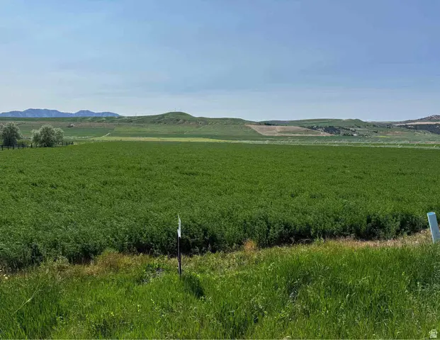 1225 N Hwy 23 Hwy W, Trenton, UT 84338 - #3