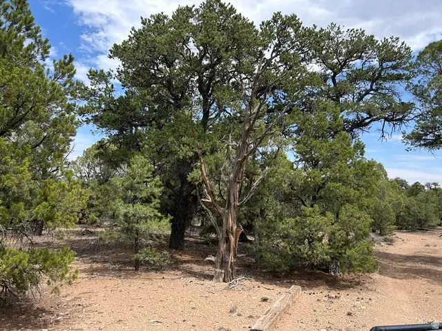 0, Fruitland, UT 84027 - #1