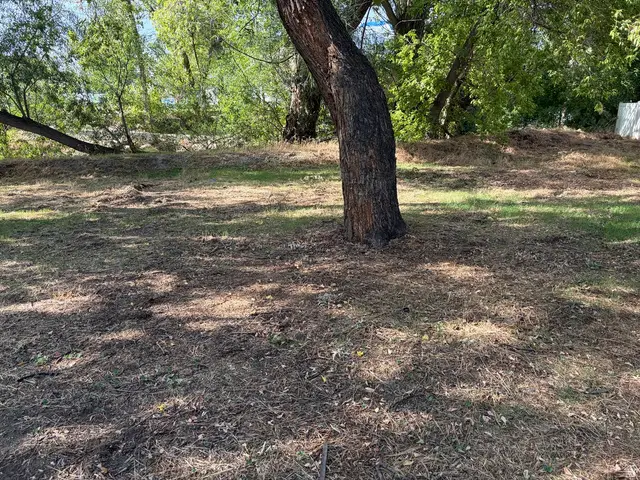 186 W 600 N, Lehi, UT 84043 - #3