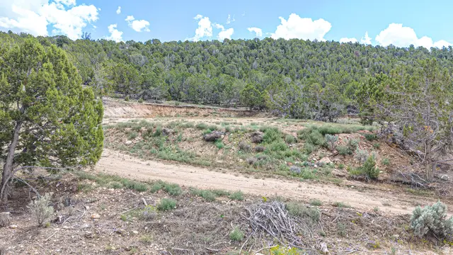 81 N Blackhawk Mtn Estates Rd #81, Indianola, UT 84629 - #3