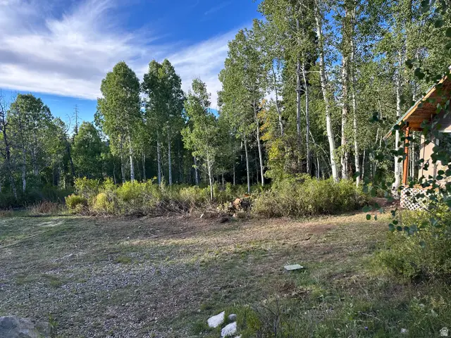98 Mountain Spring Dr, Fairview, UT 84629 - #2