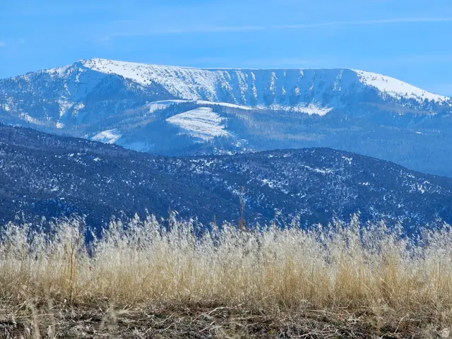 1350 St, Spring City, UT 84662 - #1