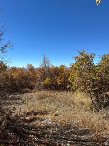 22949 N 13755 E #93, Fairview, UT 84629 - #1