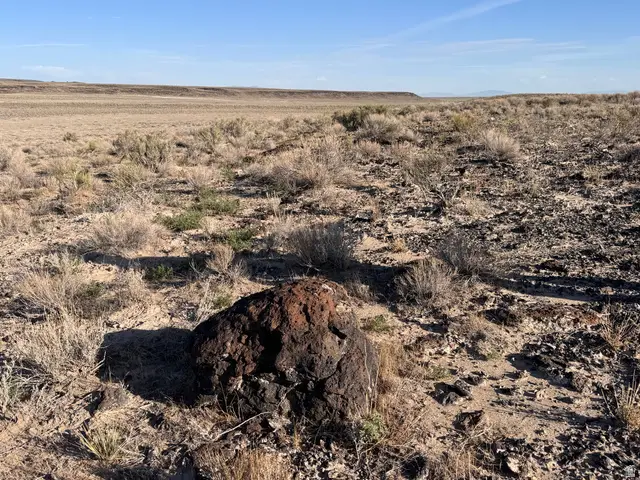 10000 S 7000, Delta, UT 84624 - #1