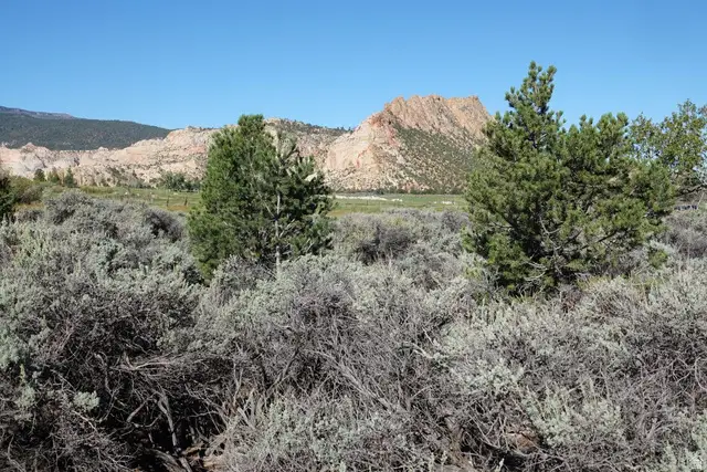 3600 S Teasdale Rd, Teasdale, UT 84773 - #2