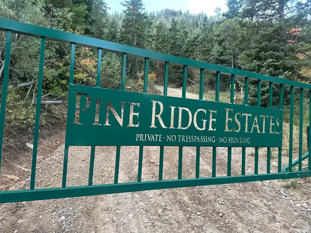 12 Pine Ridge Estates Dr #12, Mount Pleasant, UT 84647 - #2