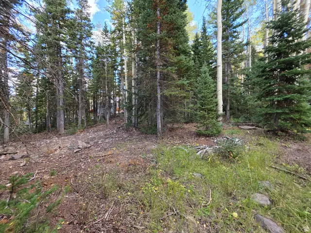 214 E Deer Trail Rd #147, Brian Head, UT 84719 - #3