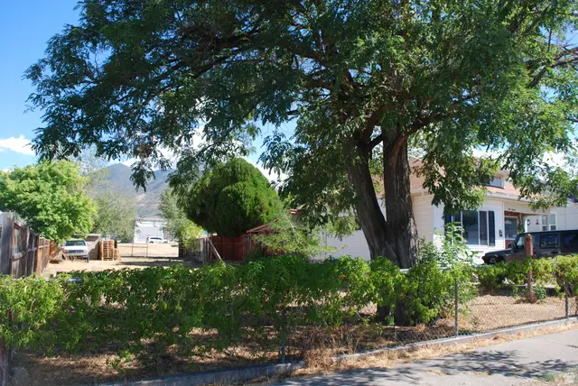 116 N 3rd St N, Tooele, UT 84074 - #3