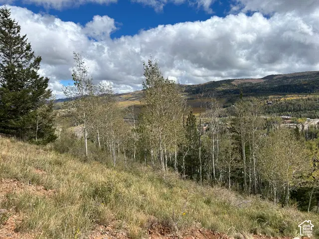 524 W Ski View Dr, Brian Head, UT 84719 - #2
