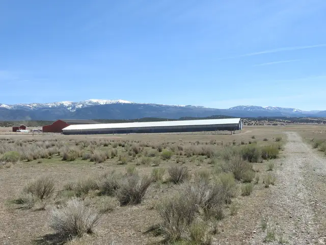 13000 N 25640 E, Mount Pleasant Moroni, UT 84623 - #2