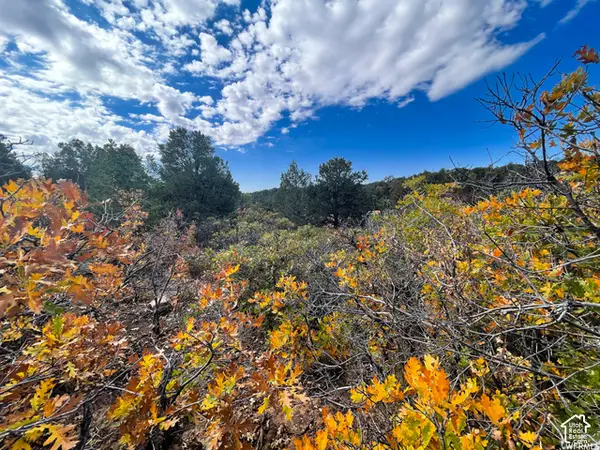 173 Cty Rd 343 Bartons Rd, Monticello, UT 84535