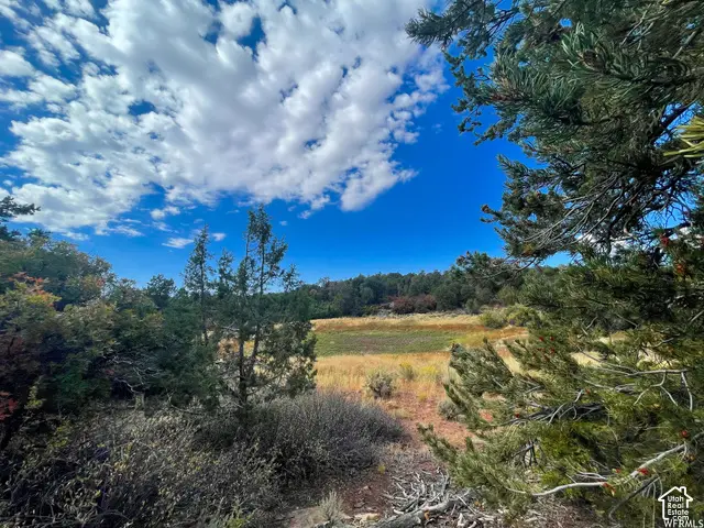 173 Cty Rd 343 Bartons Rd, Monticello, UT 84535 - #3