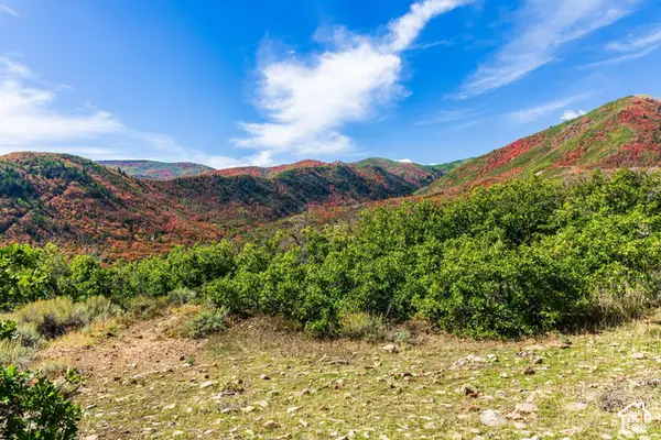 1232 Hillside Dr, Midway, UT 84049
