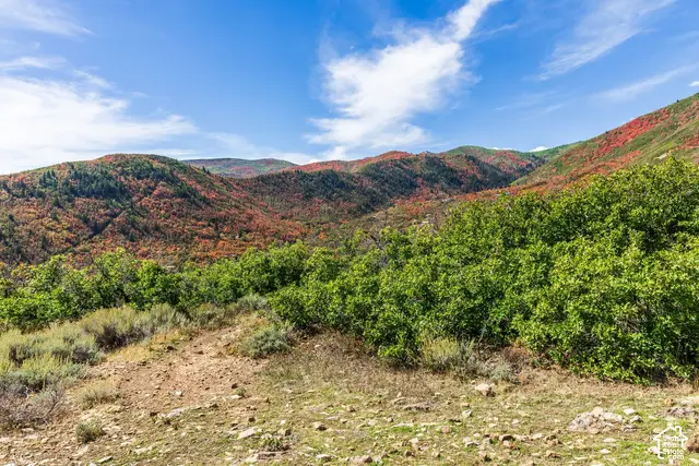 1232 Hillside Dr, Midway, UT 84049 - #2