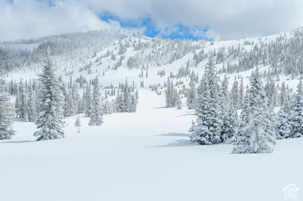 0 #8, Brian Head, UT 84719