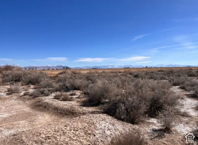 Address Withheld By Seller, Abraham, UT 84635 - #3
