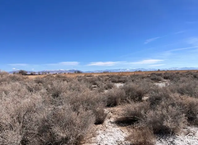 4500 N 95000 W, Abraham, UT 84635 - #1