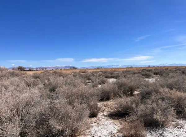 4500 N 95000 W, Abraham, UT 84635