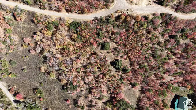 22045 N 143780 E #49, Fairview, UT 84629 - #2