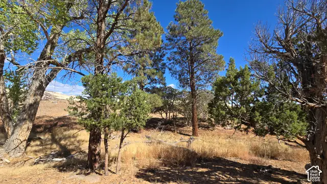 7 Lot 7 #7, Boulder, UT 84716 - #3