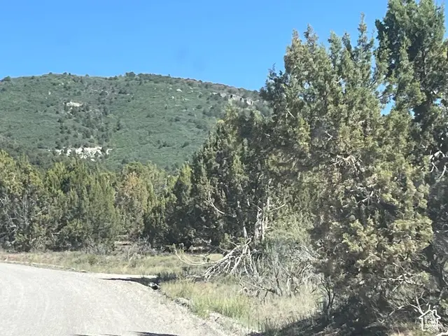 #467, Fairview, UT 84629 - #3