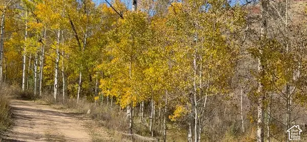N Miles Canyon Rd #17, Montpelier, ID 83254