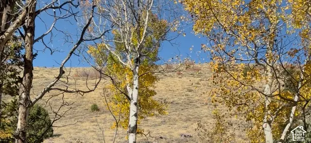 N Miles Canyon Rd #17, Montpelier, ID 83254 - #2