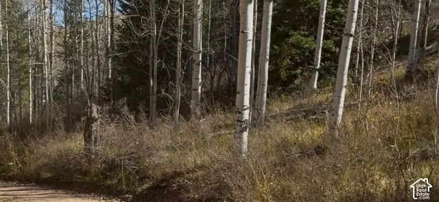 N Miles Canyon Rd #17, Montpelier, ID 83254 - #3