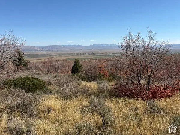 Miles Canyon Rd. #11, Montpelier, ID 83254