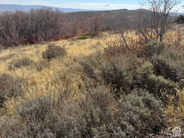 Miles Canyon Rd. #11, Montpelier, ID 83254 - #2