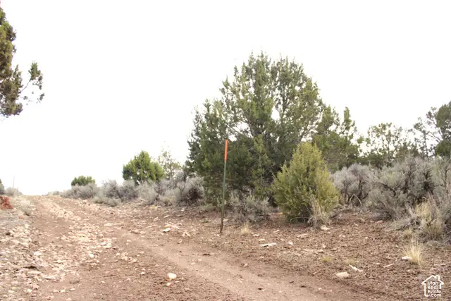 Address Withheld By Seller, Indianola, UT 84629 - #3
