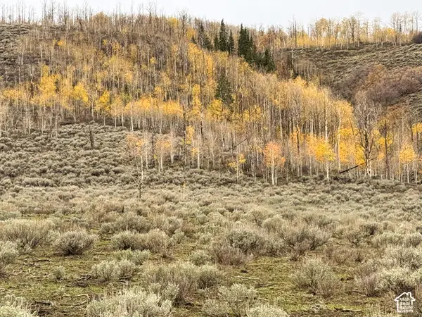 5655 N Dry Valley Rd #74, Scofield, UT 84526