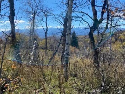 509 W Artist Point Way #53, Coalville, UT 84017