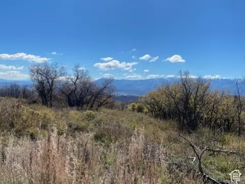 509 W Artist Point Way #53, Coalville, UT 84017 - #2