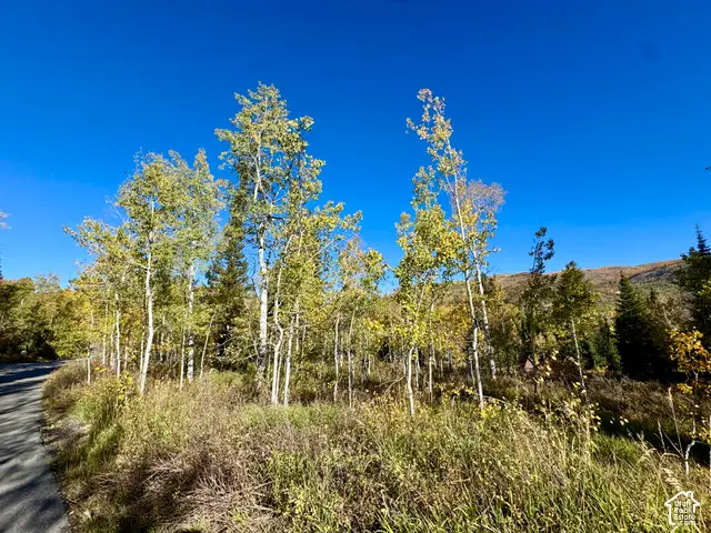 58 Uintah Dr #58, Oakley, UT 84055 - #2