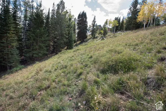 1430 N Aspen Dr, Brian Head, UT 84719 - #2
